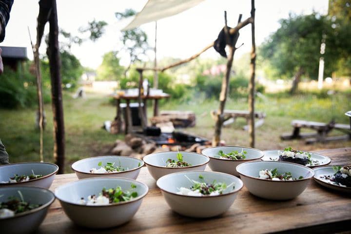 Cheese & Farm Experience