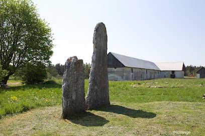 Your Gotland Tours