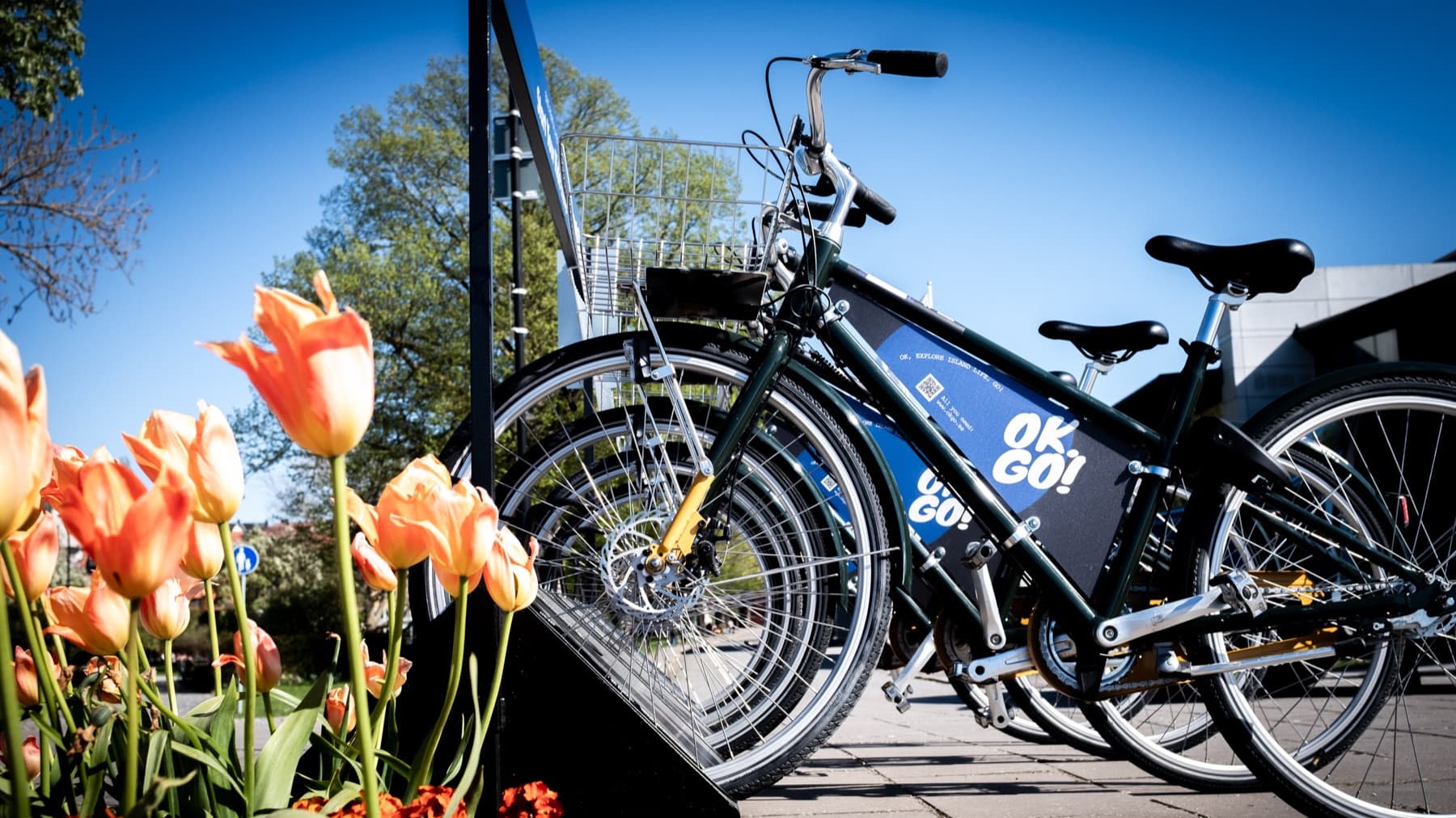 Upptäck Visby! Hyr cykel från OKGO Hotspots