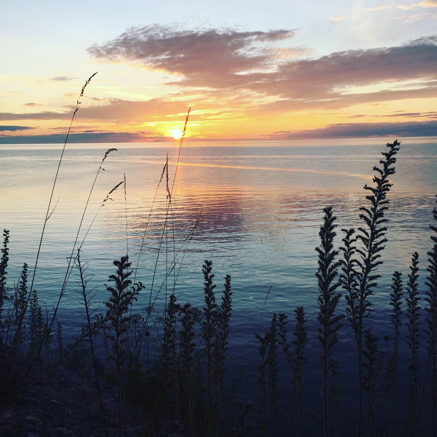 Loma yoga studio Visby- Yogastudion i Visby