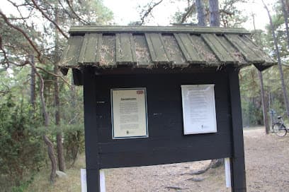 Gamla Hamn Naturreservat (Raukområde)