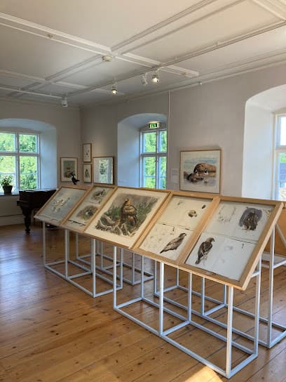Museum Lars Jonsson