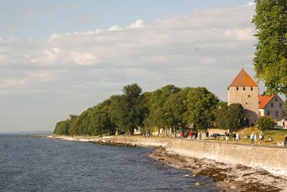 Visby Beach boardwalk