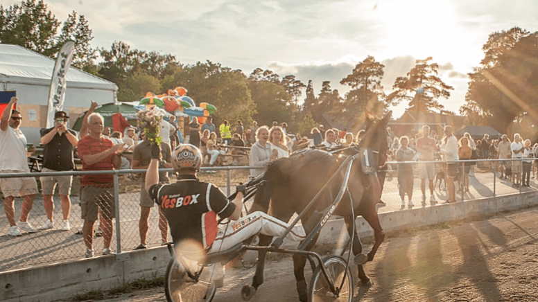Sommartrav på Skrubbs