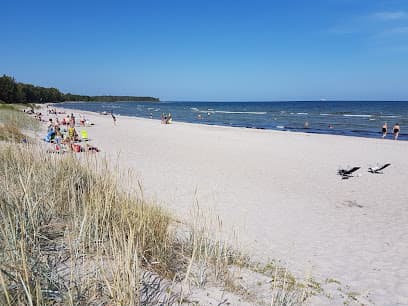 Vitvikens Café & Camping