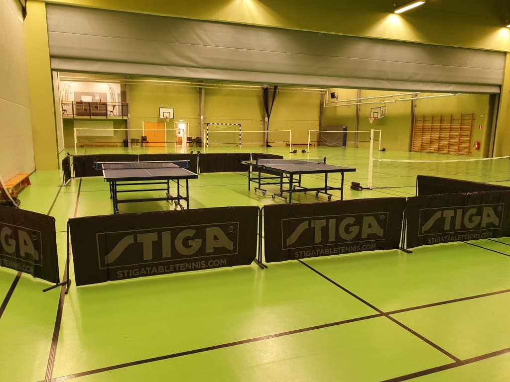 Spela Bordtennis