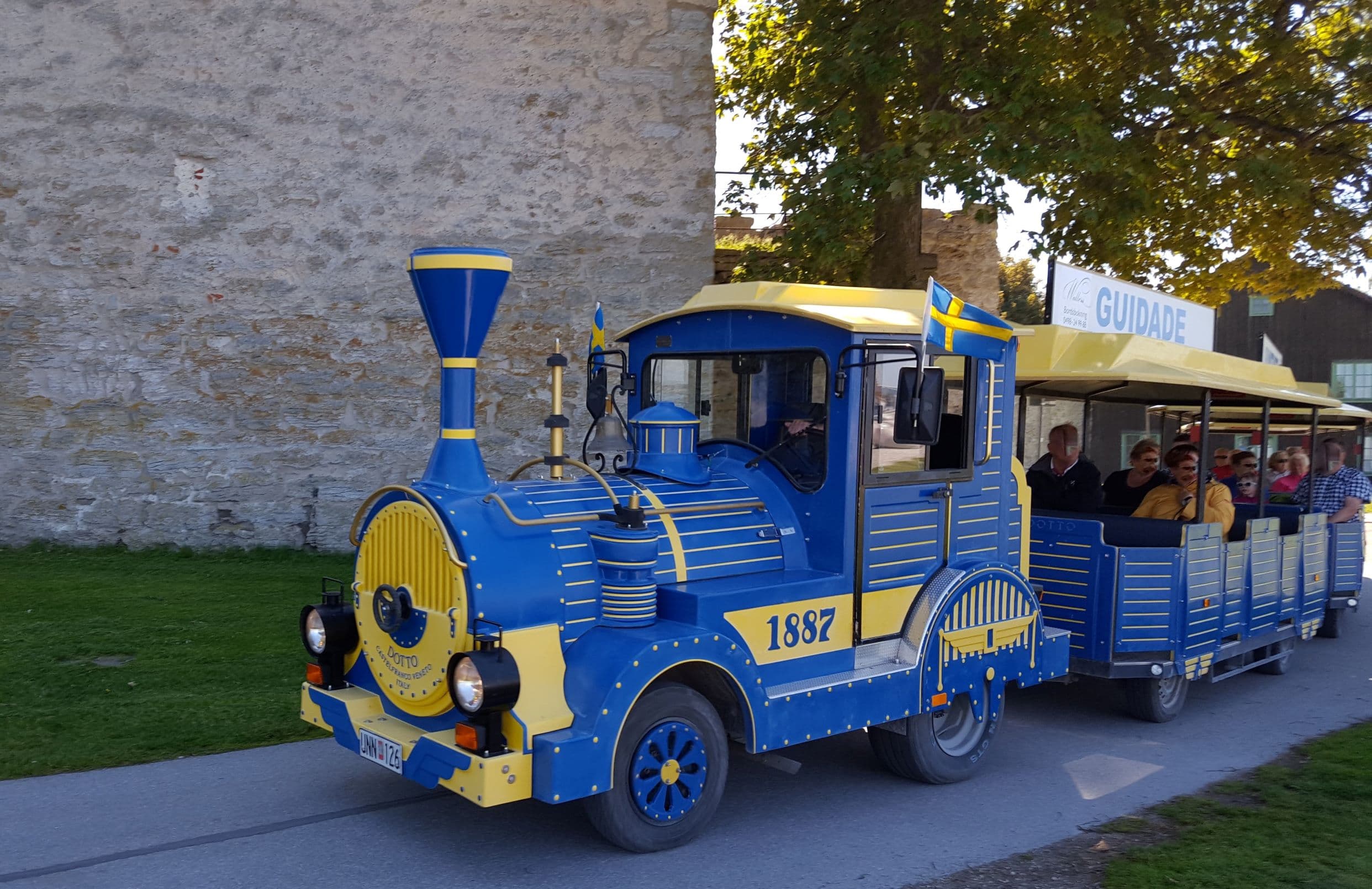 Blue and yellow train