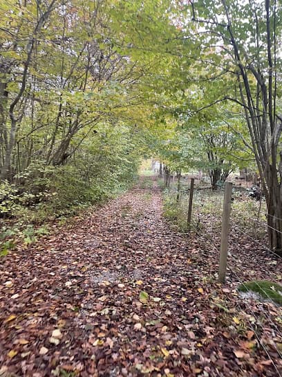 Fide lövskog Naturreservat