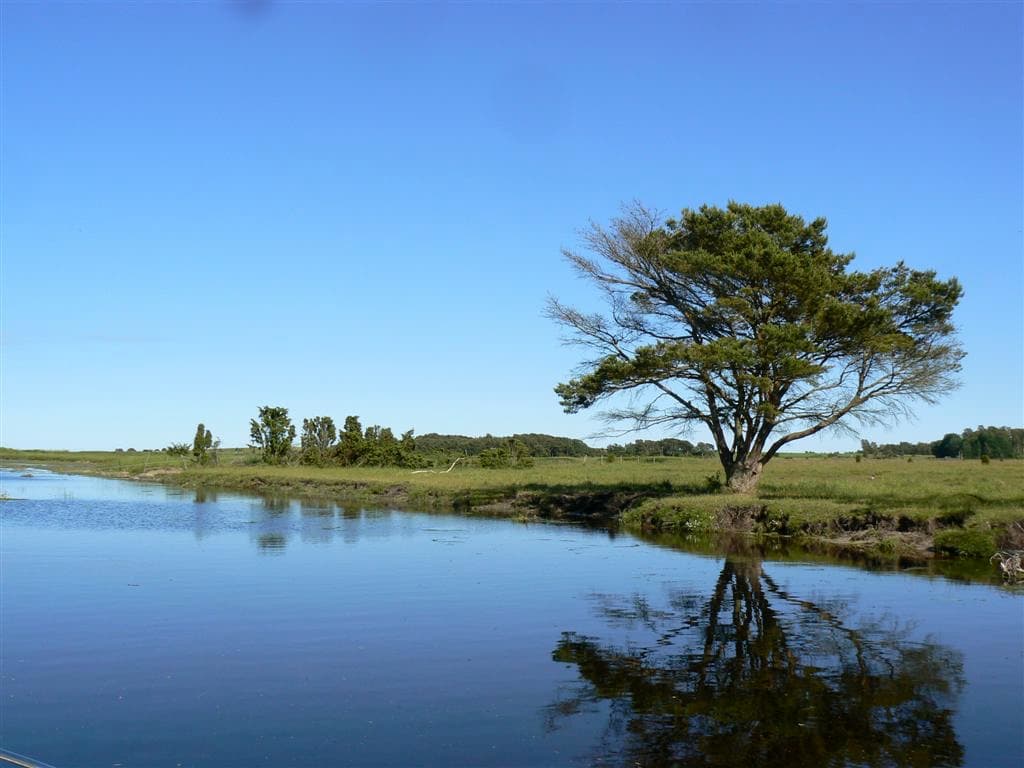 Fiske för alla åldrar - Gangvidefarm i När