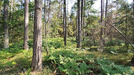 Helges hage Naturreservat