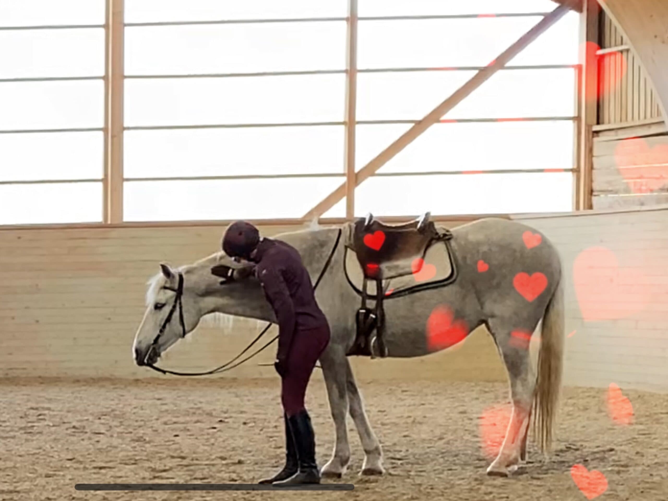 Ekeskogs Riding Academy