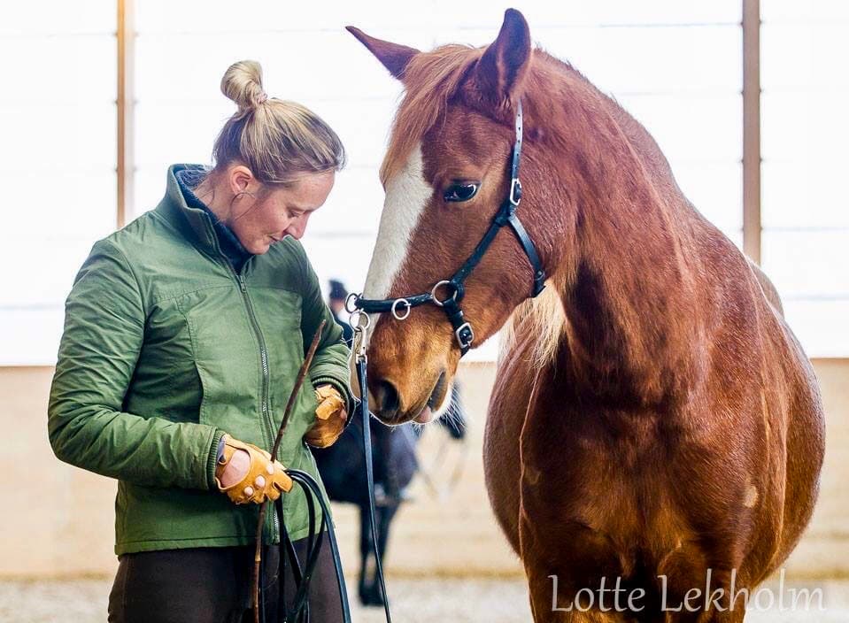 Ekeskogs Riding Academy
