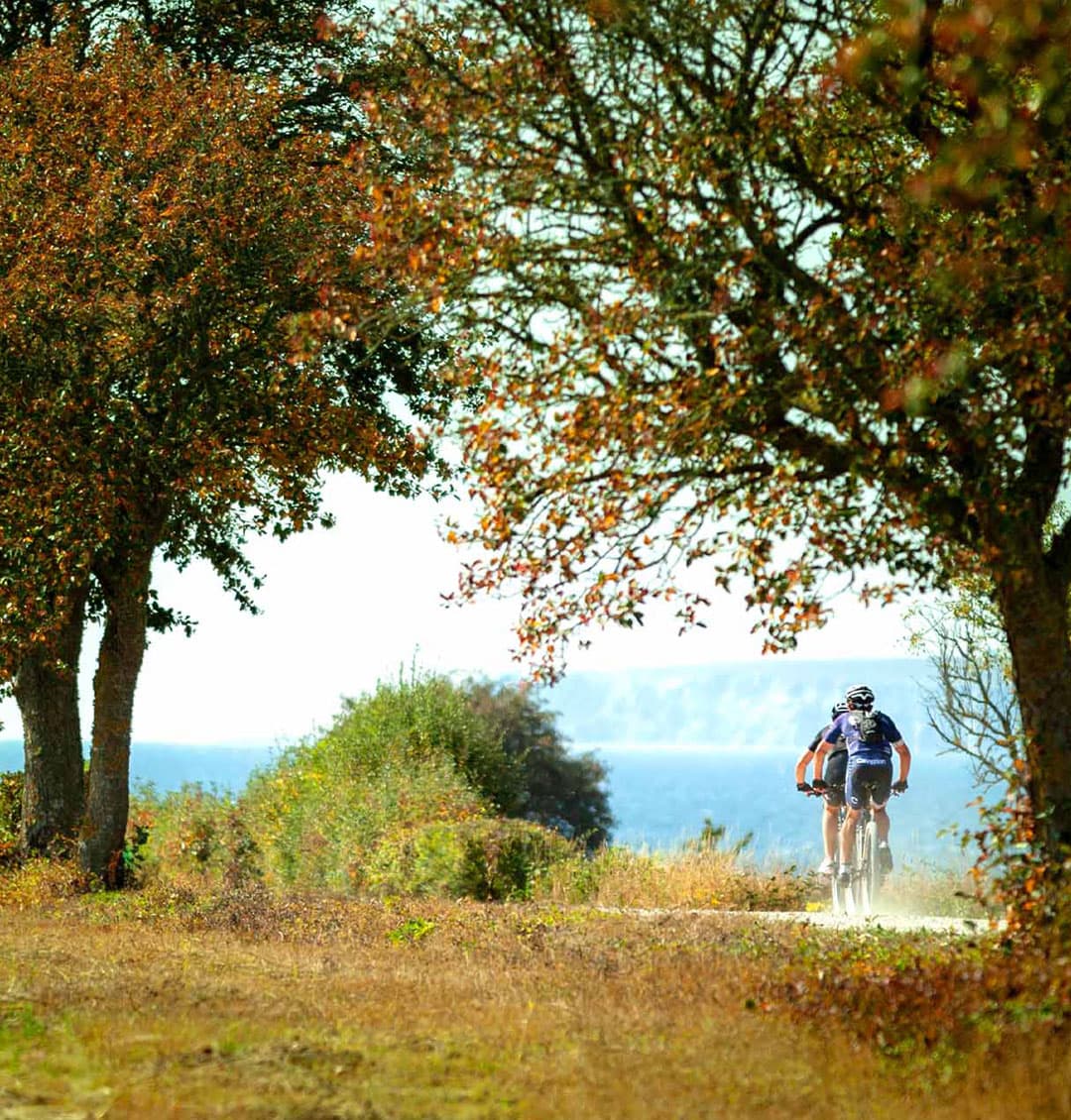 Arena Kneippbyn Resort