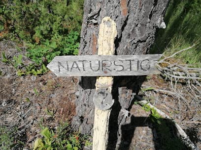 Alvena lindaräng Naturreservat