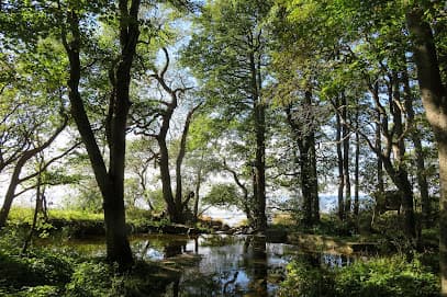 Lummelunda Brukspark