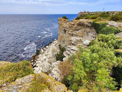 Stora Karlsö