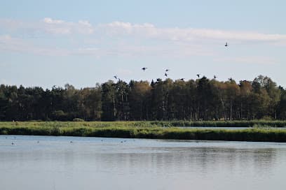 Västra märgelgraven Nature preserve