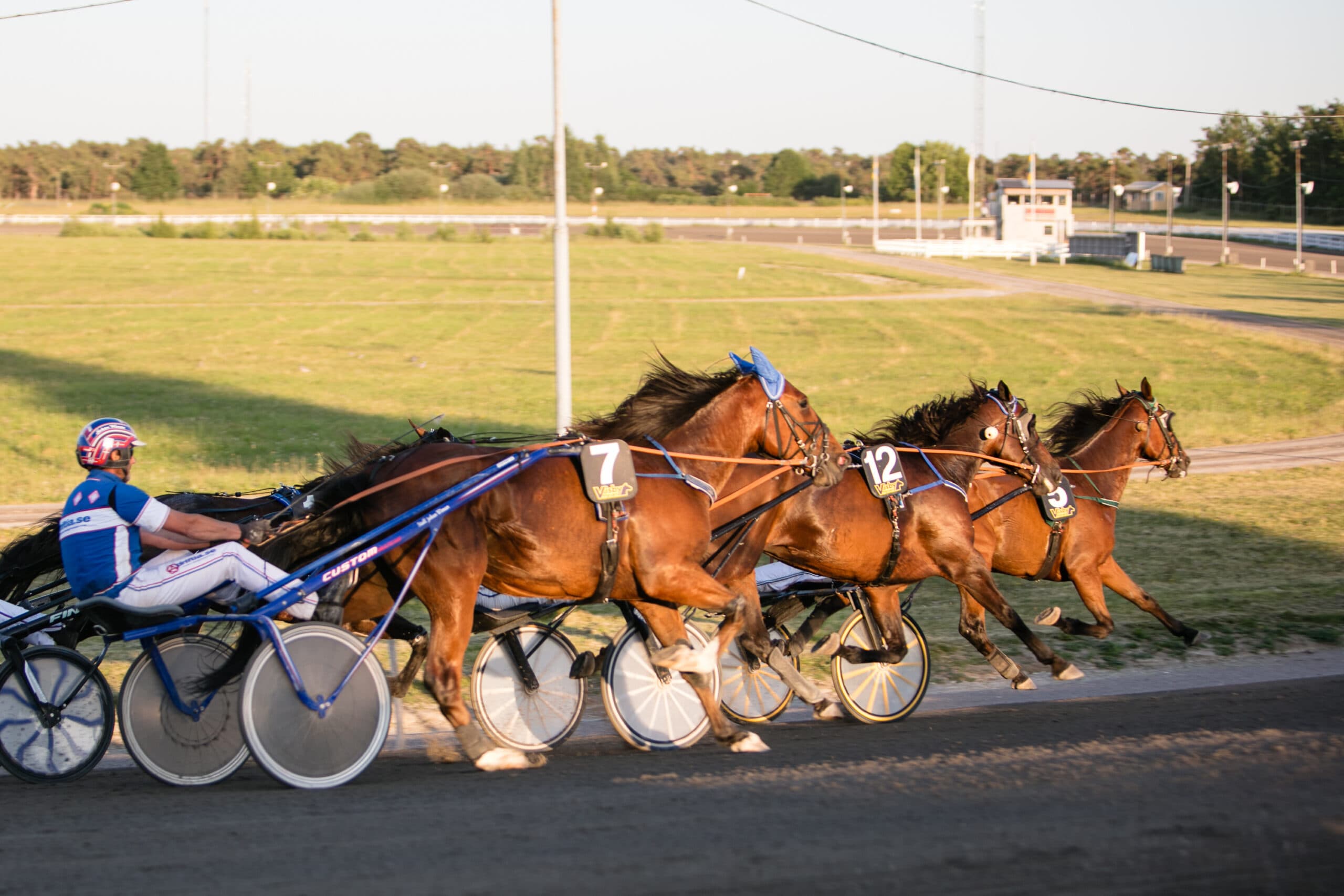 Visbytravet