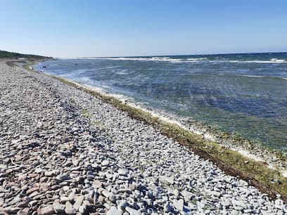 Eksta Coast