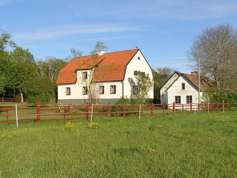 Bräus