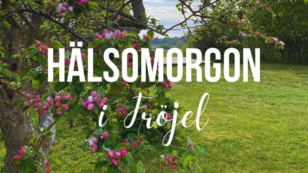 Mañana de salud en Fröjel