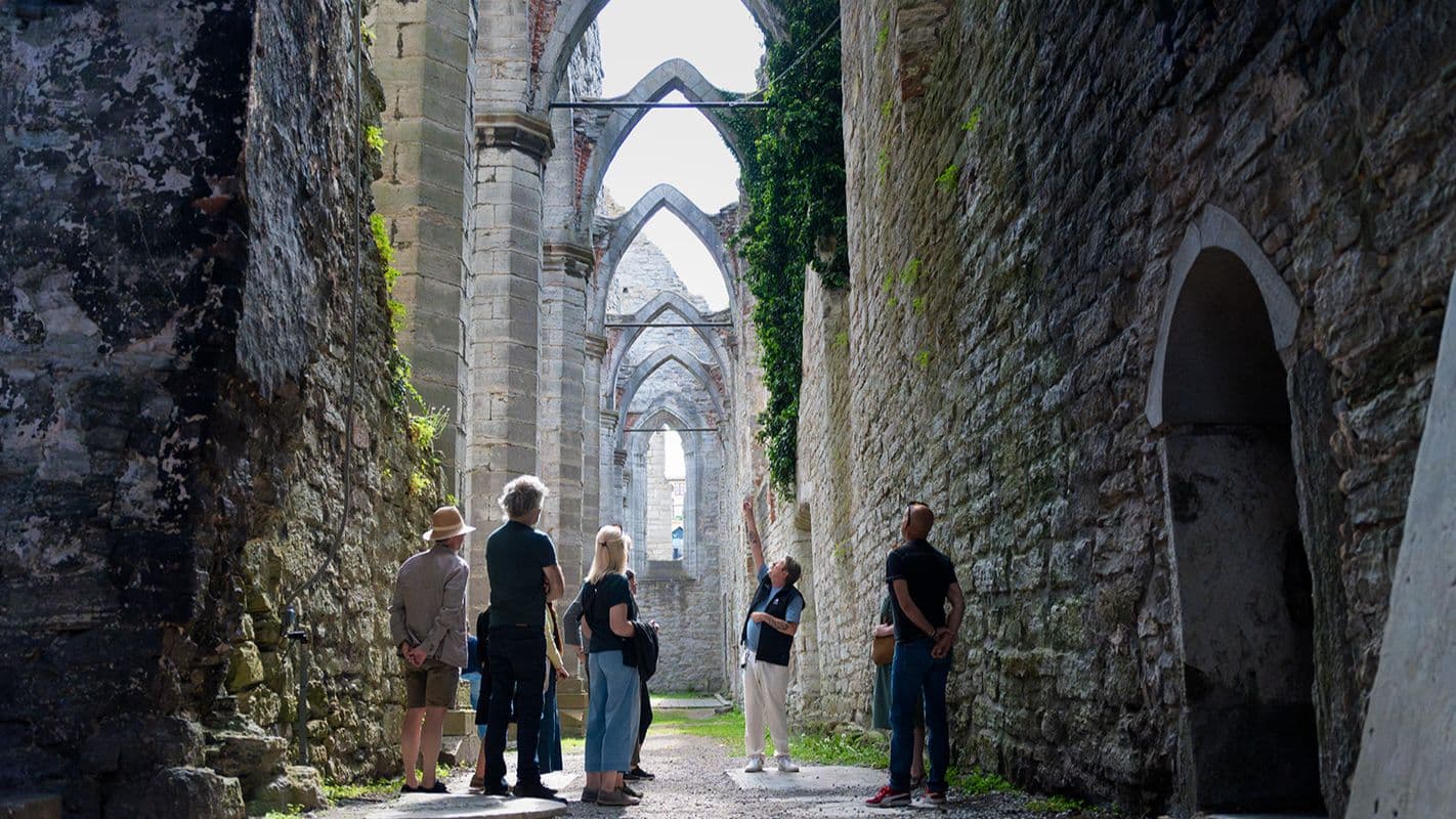 Paseo por la ciudad: muralla, rosas y ruinas