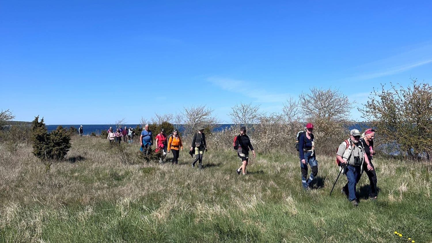 Ruta de senderismo alrededor de Gotland, de Kappelshamn a Bläse