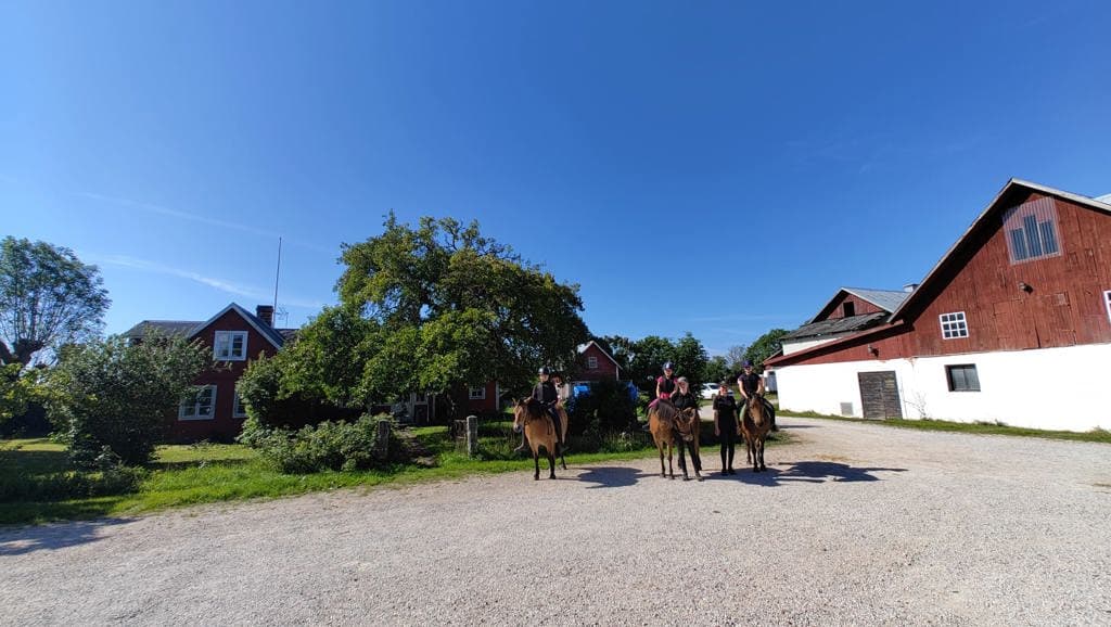 Kullands PonnyPatrull