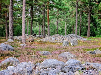 Trullhalsar Gravfält