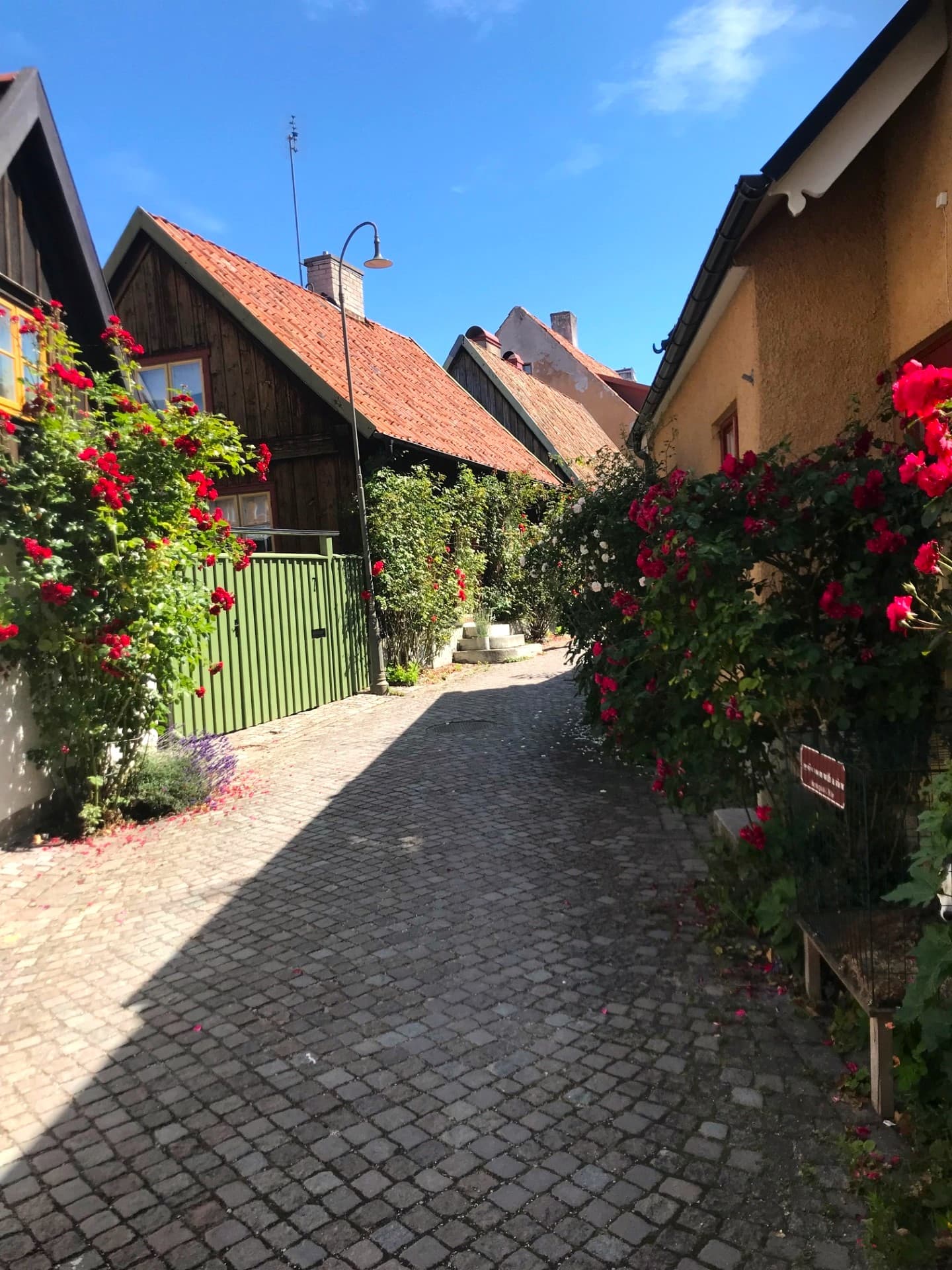 Stadsvandring i Visby innerstad