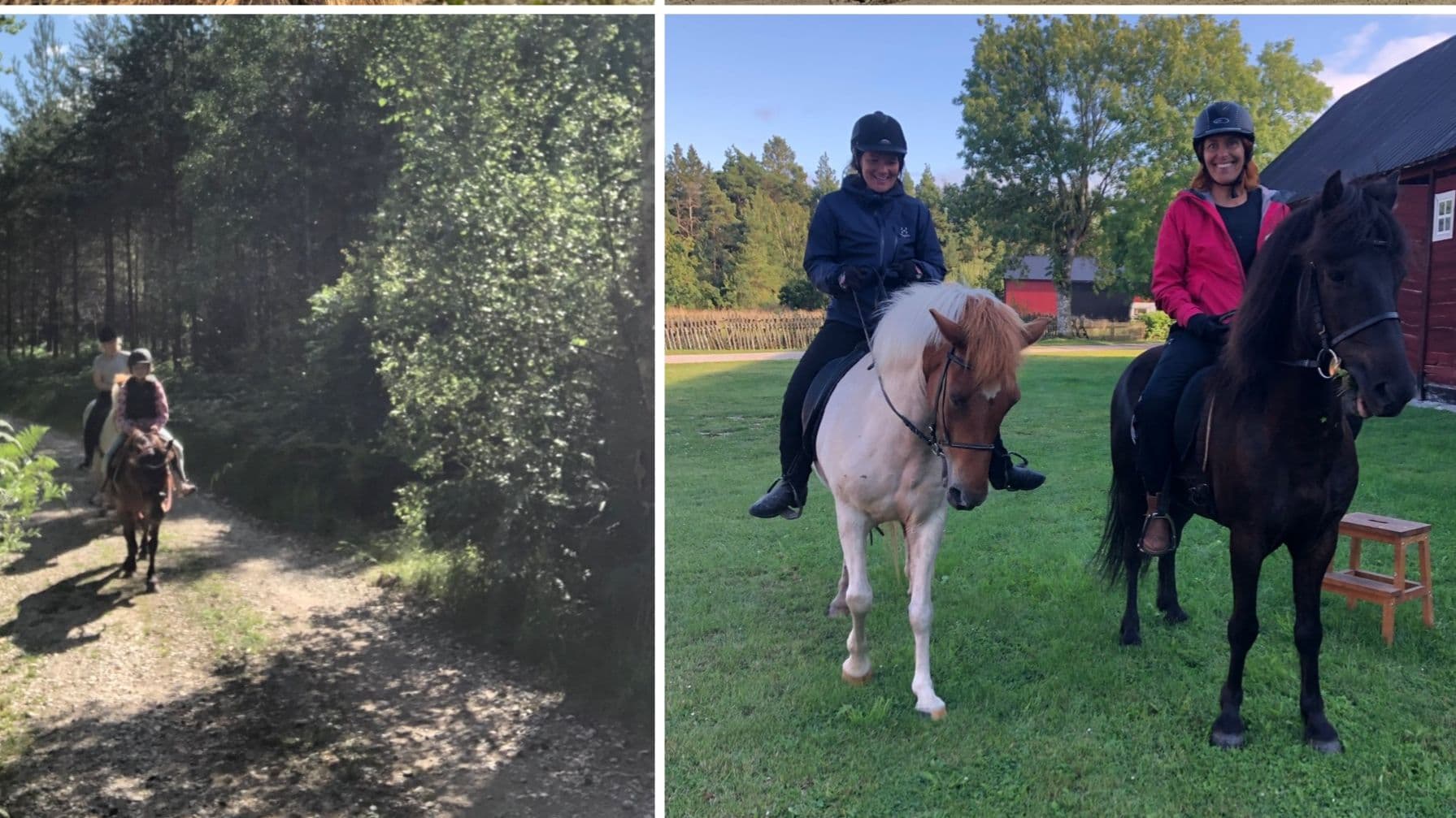 Turridning med Islandshästar på östergarnslandet!