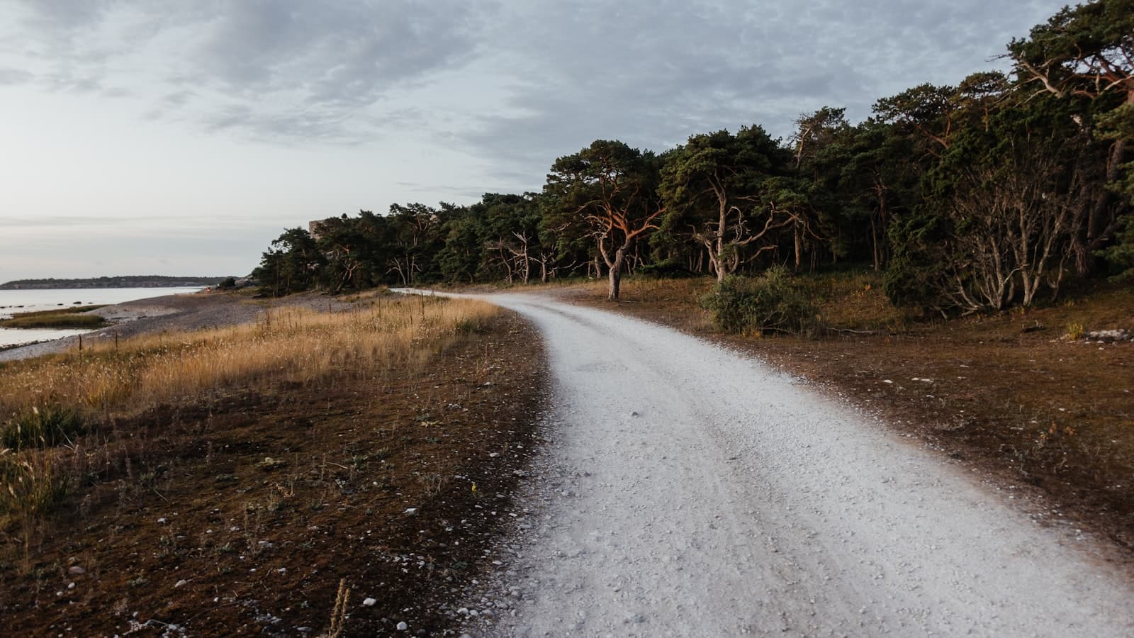 Cykla Gotland — så planerar du turen
